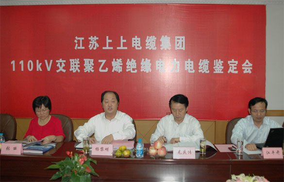 必发额定电压110kV交联聚乙烯绝缘电力电缆产品通过判断