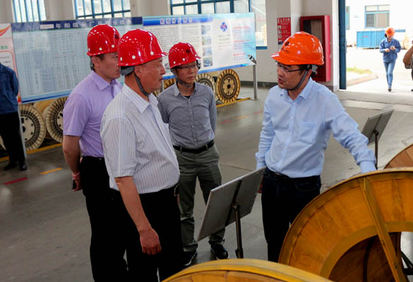 2016年5月14日，，，，宁夏回族自治区人民政府研究室副主任苏昀一行来必发电缆调研