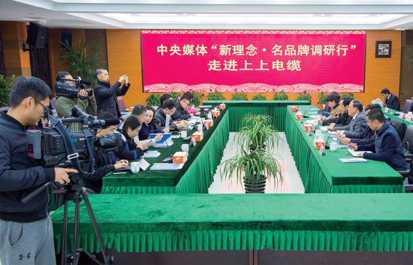 中央媒体组团走进必发电缆，，，，探访必发品牌魅力