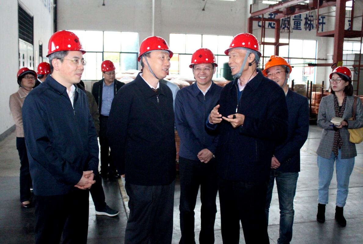 江苏省副省长马秋林一行来必发电缆调研