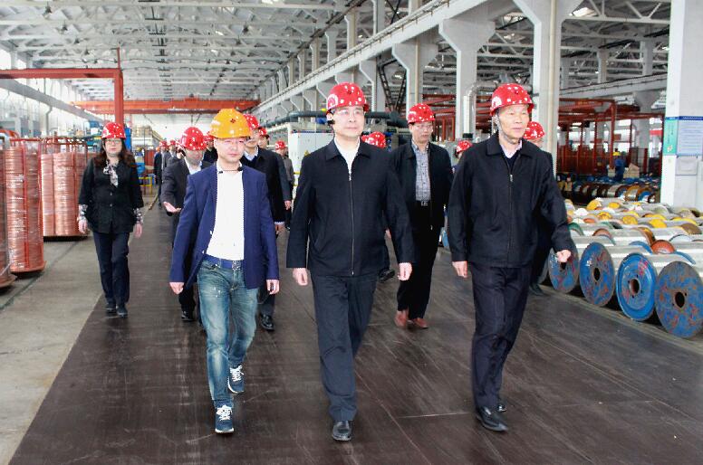 南京市六合区党政代表团来必发电缆旅行考察