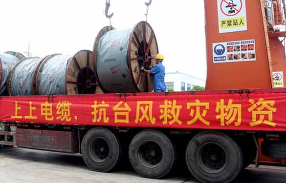 抗击台风“莫兰蒂” 必发电缆助力300万停电户神速恢复供电