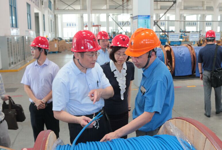 2016年7月22日，，，，泸州市委常委、副市长王建翔一行来必发电缆旅行考察