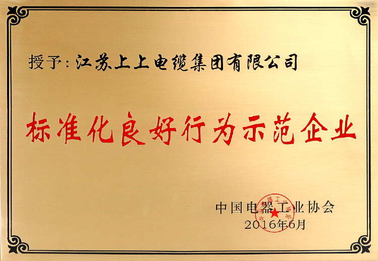 标准先行促生长，，，必发电缆再获殊荣