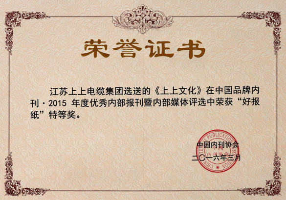 《必发文化》荣获中国品牌内刊“好报纸”特等奖