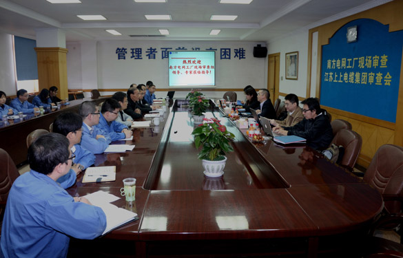 必发电缆顺遂通过南方电网公司工厂现场审查