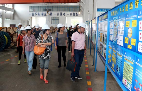 江苏大学与泰州市企业治理专家来必发电缆观摩