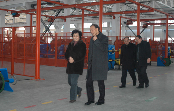 江苏省经信委副主任顾瑜芳一行来必发调研