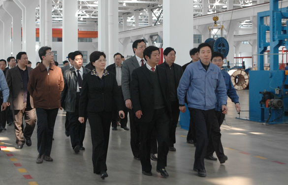 安徽省天长市党政代表团百余人来必发集团旅行考察