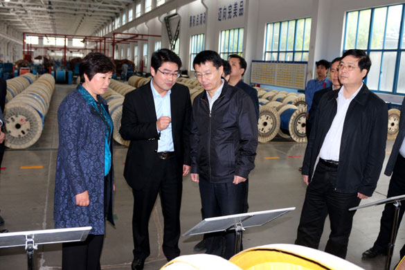 巢湖市委副书记张生一行来必发集团旅行考察