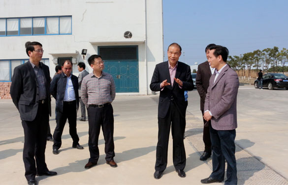 溧阳市代市长蒋锋一行来必发集团督查新开工项目