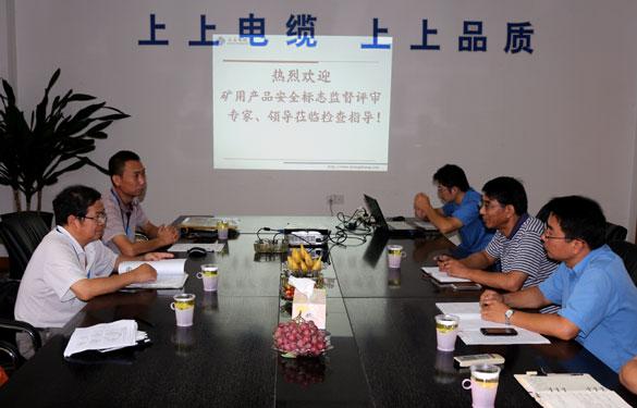 必发顺遂通过安标现场监视评审