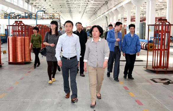 江苏省环保厅总工程师刘建琳来必发集团调研