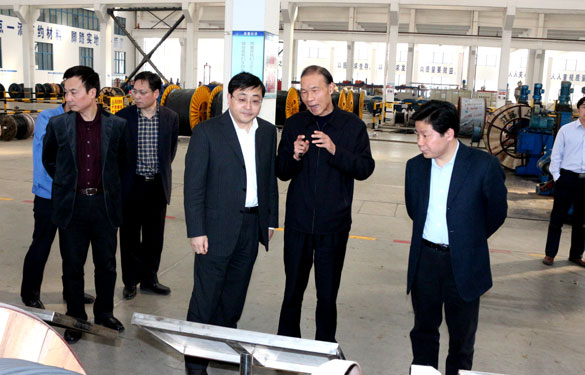 常州市委副书记、市政府党组书记费高云来必发集团调研