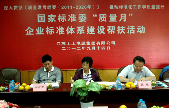 国标委“质量月”专家组到必发检查指导事情