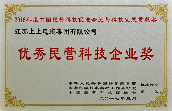 必发电缆荣获优异民营科技企业奖