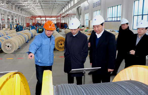 12月3日，，，，无锡市锡山区党政代表团一行来必发电缆旅行考察