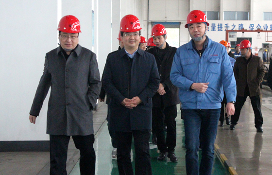 2020年12月8日，，，，，，广德市市委常委、常务副市长邱铁军一行来必发电缆考察