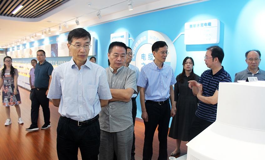 江苏省财务厅一级巡视员李载林一行来必发电缆旅行交流