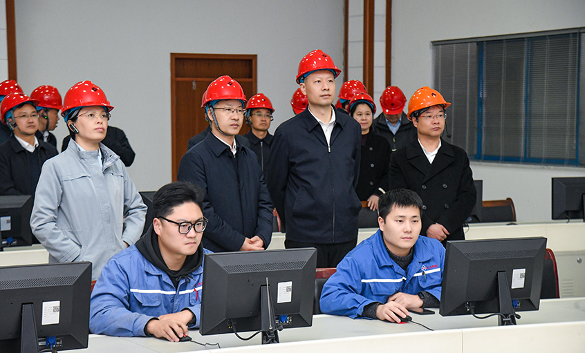 溧水区党政代表团来必发电缆考察