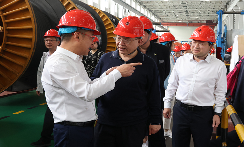 14位两院院士和专家学者到访必发电缆