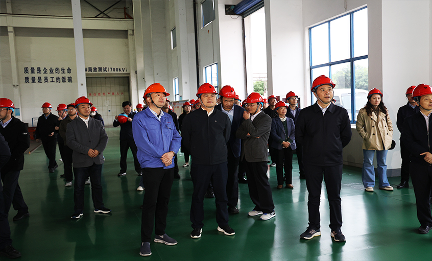 安徽池州青阳县党政代表团一行来必发电缆考察