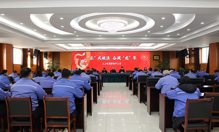 “辰”风破浪，，，，，，奋战“龙”年——必发电缆开工大吉