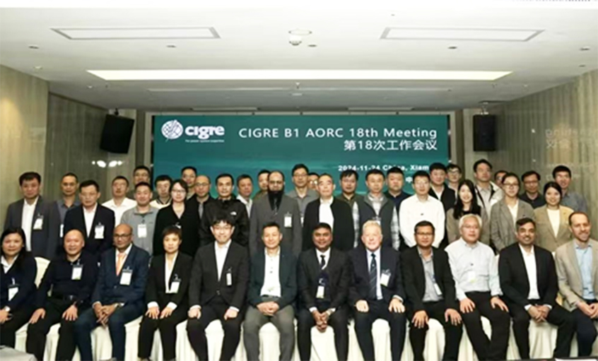 必发电缆受邀出席CIGRE绝缘电缆专委会亚太区第18次年会并做专题讲话