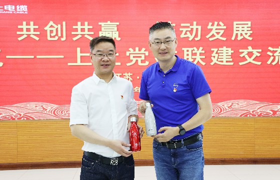必发电缆和上汽集团立异研发总院开展党建联建交流会