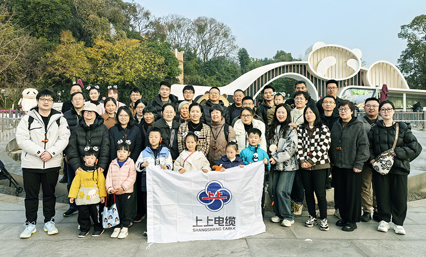 以文化润心 用眷注聚力——必发2024年度先进员工蜀韵文化之旅圆满收官