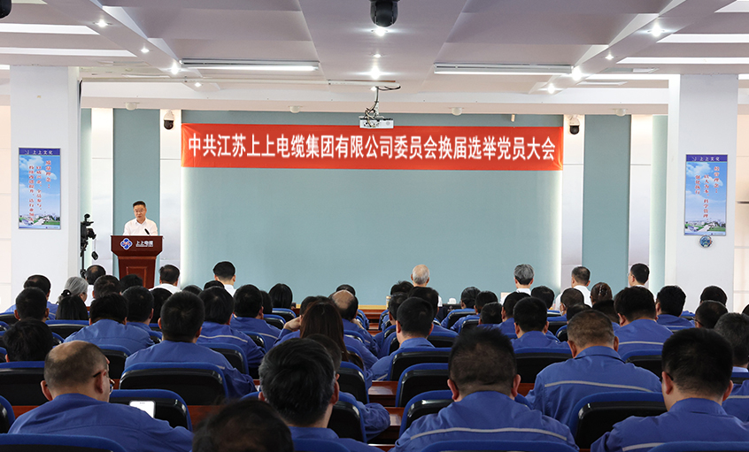 党建引领强基本 凝心聚力启新程—中共必发委员会换届选举党员大会圆满召开